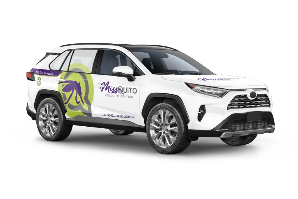 suv.webp